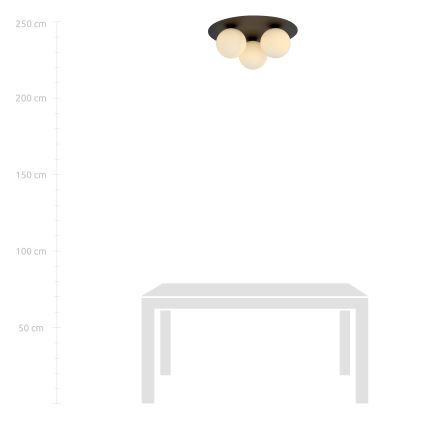 Plafonieră SOLAR 3xE14/10W/230V negru/alb