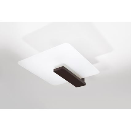 Plafonieră LAPPO 2xE27/15W/230V wenge