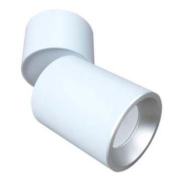 Plafonieră spot ASTRA 1xGU10/10W/230V