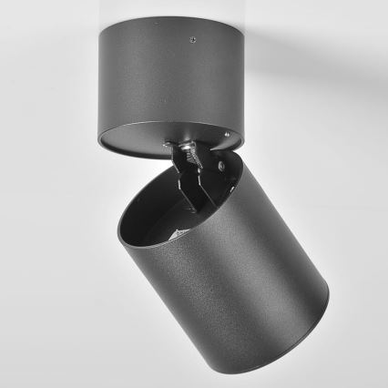 Plafonieră spot ASTRA 1xGU10/10W/230V