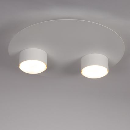 Plafonieră STAR 2xGX53/12W/230V alb