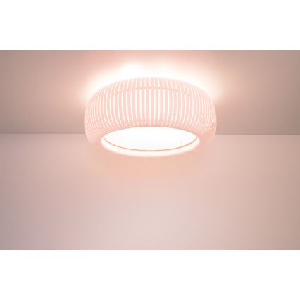 Plafonieră STRIPES, 2xE27/40W/230V, Ø 55 cm, alb/roz