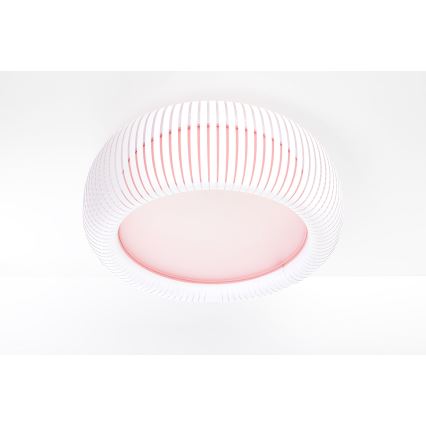 Plafonieră STRIPES, 2xE27/40W/230V, Ø 55 cm, alb/roz