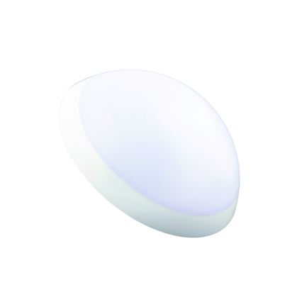 Plafonieră tehnică ROMANA 1xE27/100W/230V IP64 Fulgur 20994