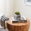 Plantă artificială în ghiveci Eglo 12x7,5 cm suculentă