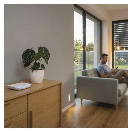Poartă inteligentă Wi‑Fi GoSmart