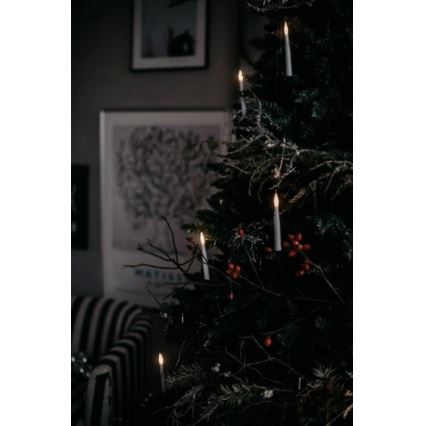 Pom de Crăciun 250 cm molid Eglo