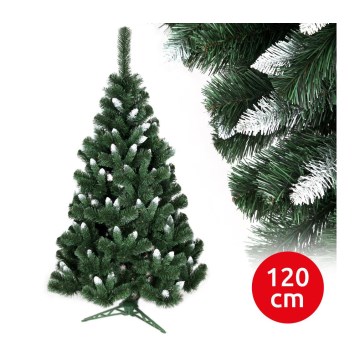 Pom de Crăciun NARY I 120 cm pin