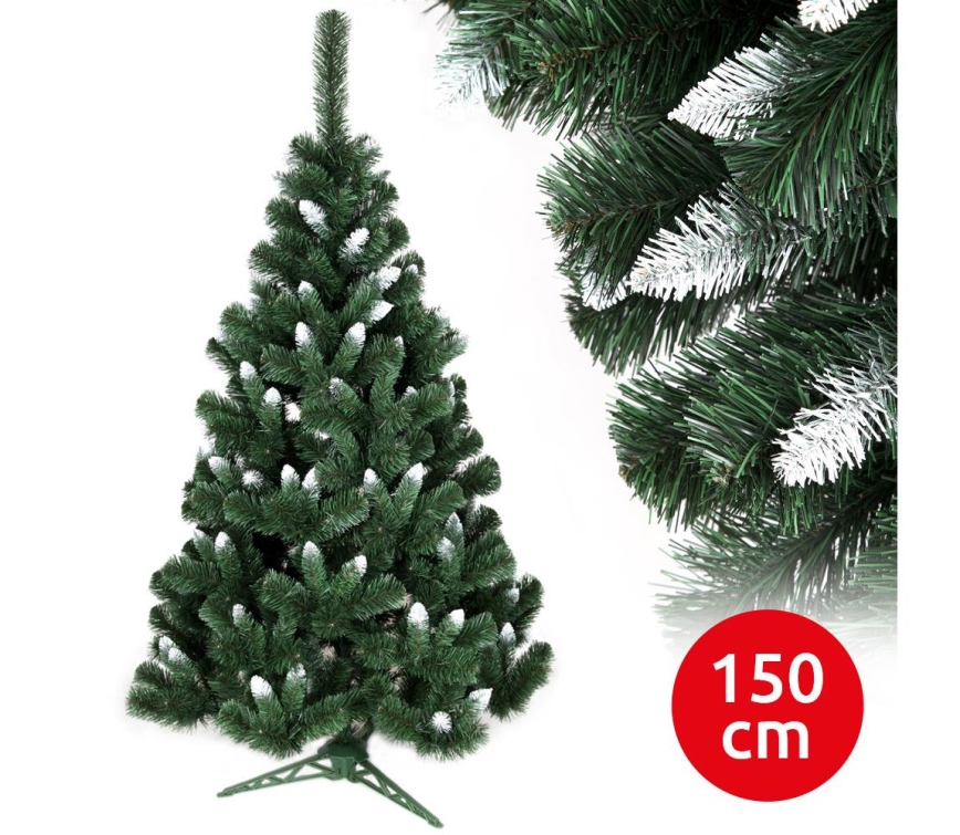 Pom de Crăciun NARY I 150 cm pin