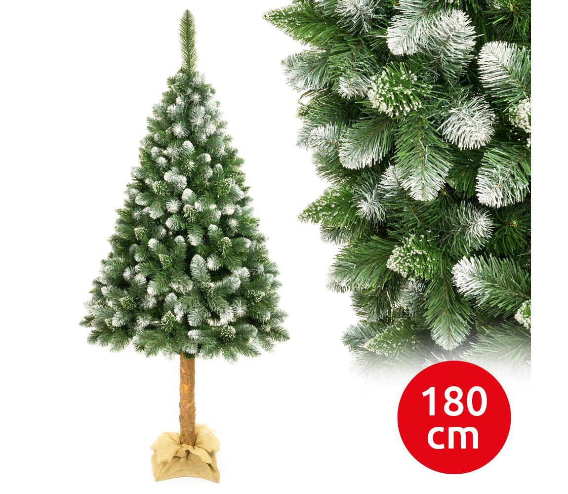 Pom de Crăciun pe trunchi 180 cm pin