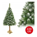 Pom de Crăciun pe trunchi 220 cm pin
