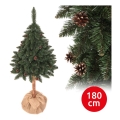Pom de crăciun PIN 180 cm brad