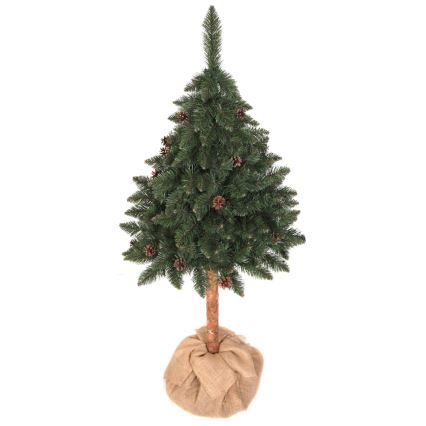 Pom de crăciun PIN 180 cm brad