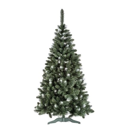 Pom de Crăciun POLA 180 cm pin