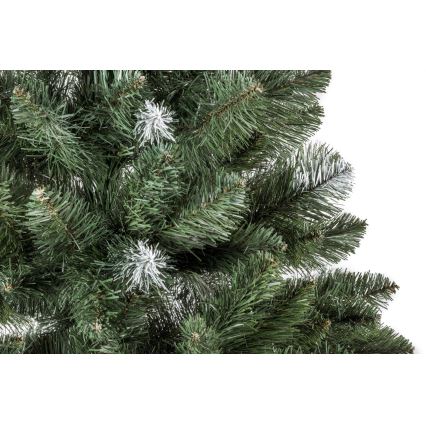 Pom de Crăciun POLA 180 cm pin