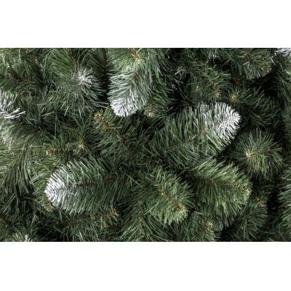 Pom de Crăciun POLA 180 cm pin