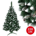Pom de Crăciun TAL 220 cm pin