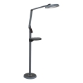Prezent 31220 - Lampă de podea tactilă cu LED reglabil SALSA LED/15W/230V USB