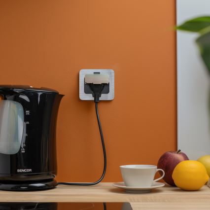 Priză încastrabilă de podea de exterior Brilagi IP55 crom mat dreptunghiular