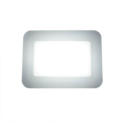 Proiector LED/50W/230V 4000K IP65