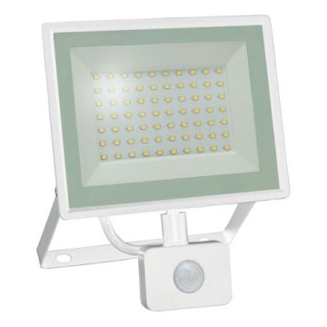 Proiector LED cu senzor de mișcare NOCTIS LUX 3, 50 W, 230 V, 4000 K, IP44, alb