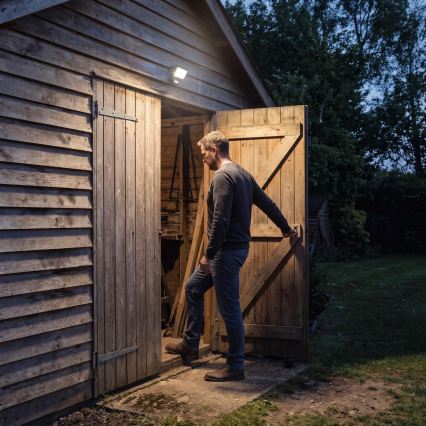 Proiector LED cu senzor de mișcare și de amurg TAMBO EVO LED/10W/230V 4000K IP44 negru