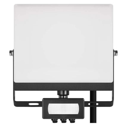 Proiector LED TAMBO EVO cu senzor de mișcare și crepuscular LED/30W/230V 4000K IP44 negru