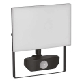 Proiector LED cu senzor TAMBO LED/30W/230V 4000K IP54