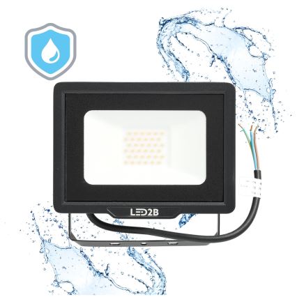 Proiector LED de exterior LED/30W/230V 6500K IP65
