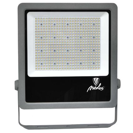 Proiector LED de exterior PROFI PLUS LED/300W/230V 5000K IP66