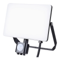 Proiector LED exterior cu senzor LED/50W/230V 5000K IP44