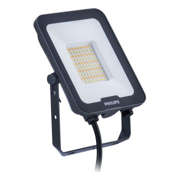 Proiector LED Philips LEDINAIRE ALL-IN LED/50W/230V 3000/4000/6500K IP65