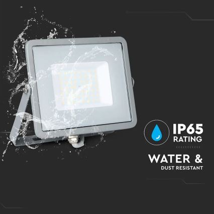 Proiector LED SAMSUNG CHIP LED/50W/230V 3000K IP65