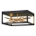 Quintiesse - Plafonier STYX LED/8W/230V negru/auriu