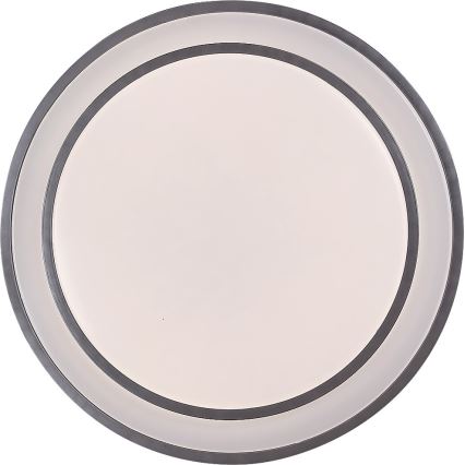 Rabalux - Plafonieră LED dimabilă 40W/230V 3000-6500K, argintie, Ø 49 cm + telecomandă