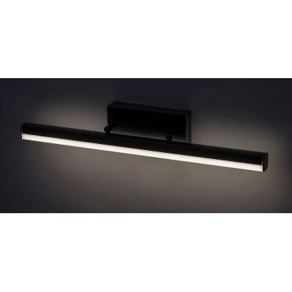 Rabalux - Iluminat LED pentru oglindă baie LED/12W/230V 49 cm IP44