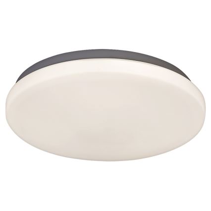Rabalux 2284 - Plafonieră LED ROB 1xLED/20W/230V
