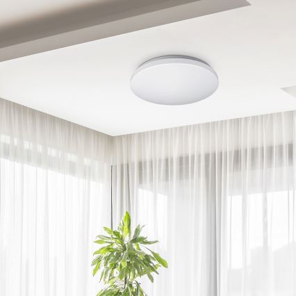 Rabalux 2285 - Plafonieră LED ROB 1xLED/32W/230V