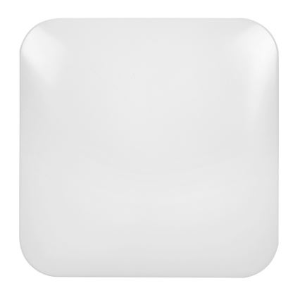 Rabalux - Plafonieră LED 1xLED/20W/230V