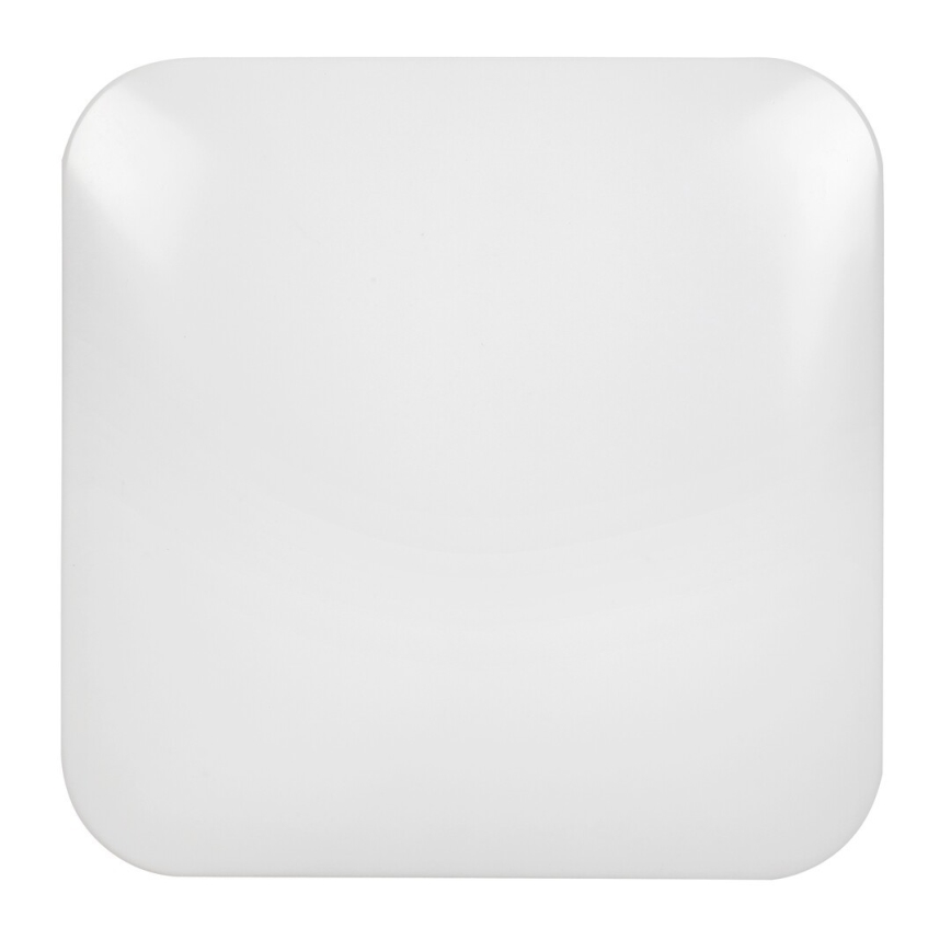 Rabalux - Plafonieră LED 1xLED/20W/230V