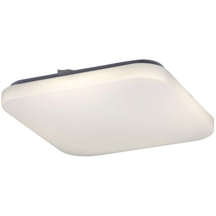 Rabalux 2287 - Plafonieră LED ROB 1xLED/32W/230V