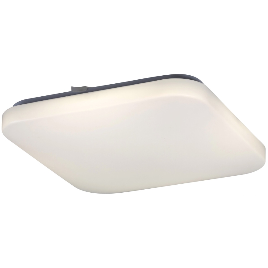 Rabalux 2287 - Plafonieră LED ROB 1xLED/32W/230V