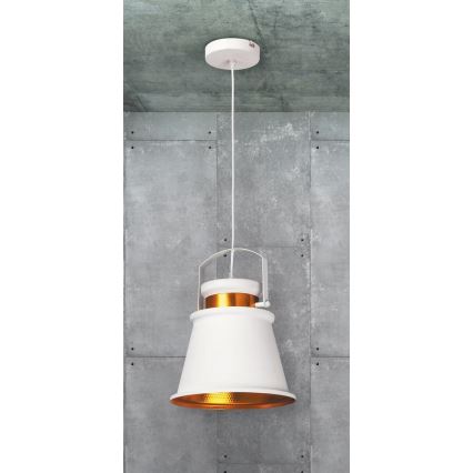 Rabalux 2571 - Lampa suspendata DUSAN E27/40W