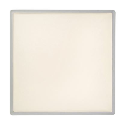 Rabalux - Plafonieră LED dimabilă LED/22W/230V 42x42 cm