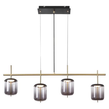 Rabalux 5028 - Lustră LED pe cablu DELICE 4xLED/6W/230V