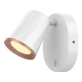 Rabalux 5045 - Spot de perete LED SOLANGE LED/6W/230V