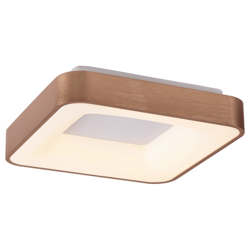 Rabalux 5056 - Plafonieră LED CARMELA LED/30W/230V