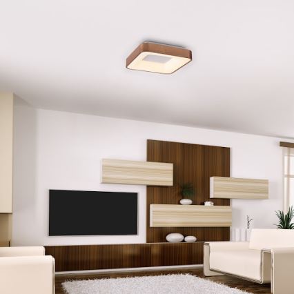 Rabalux 5056 - Plafonieră LED CARMELA LED/30W/230V