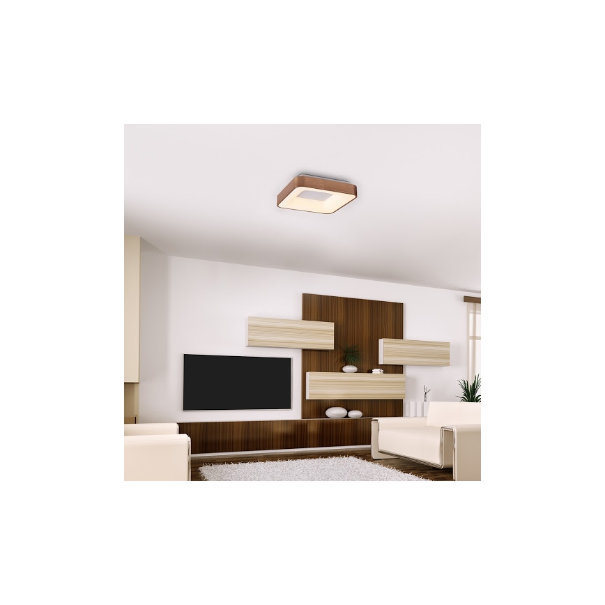 Rabalux 5056 - Plafonieră LED CARMELA LED/30W/230V