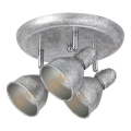 Rabalux 5388 - Lampă spot THELMA 3xE14/40W/230V
